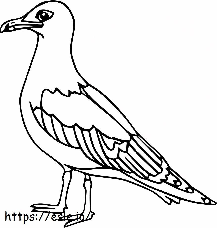 Burung Camar Dasar Gambar Mewarnai