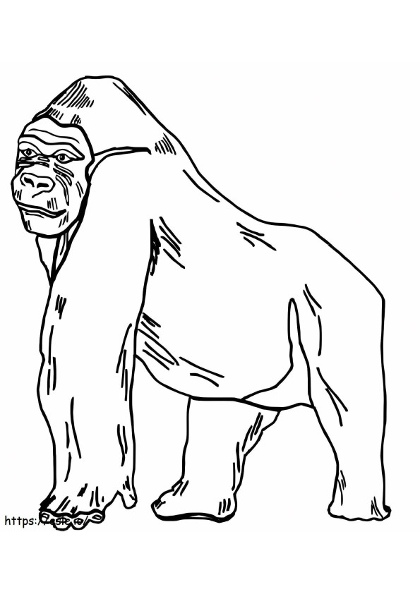Gorilla piirustus värityskuva