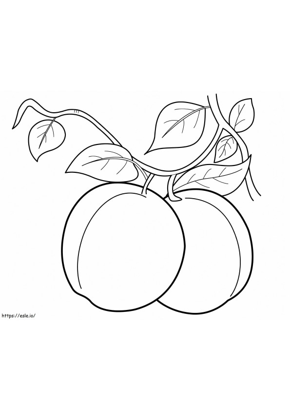 Dua buah persik Gambar Mewarnai