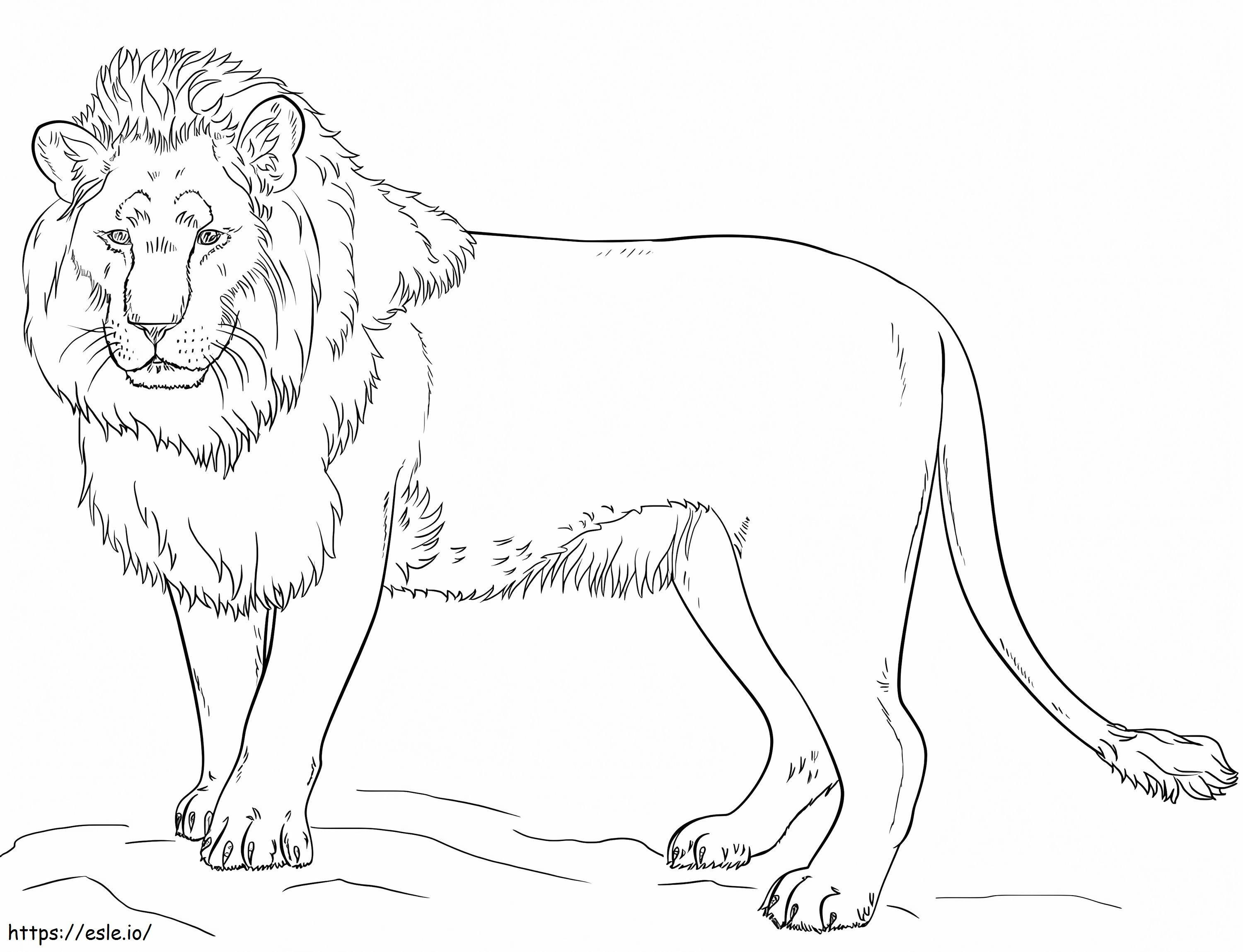 Coloriage Lion debout à imprimer dessin