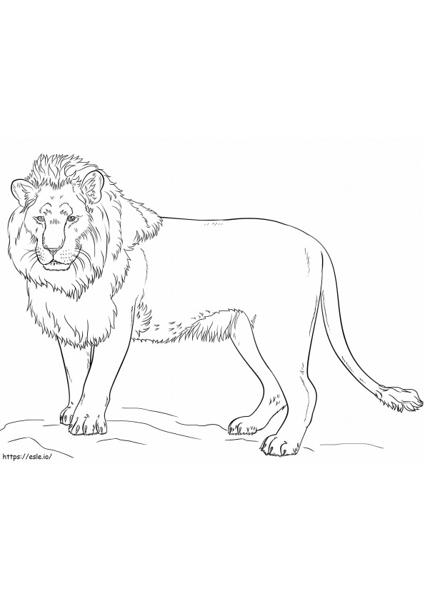 立つライオン ぬりえ - 塗り絵