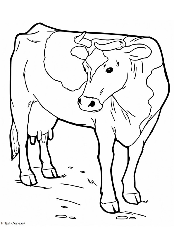 Cow 10