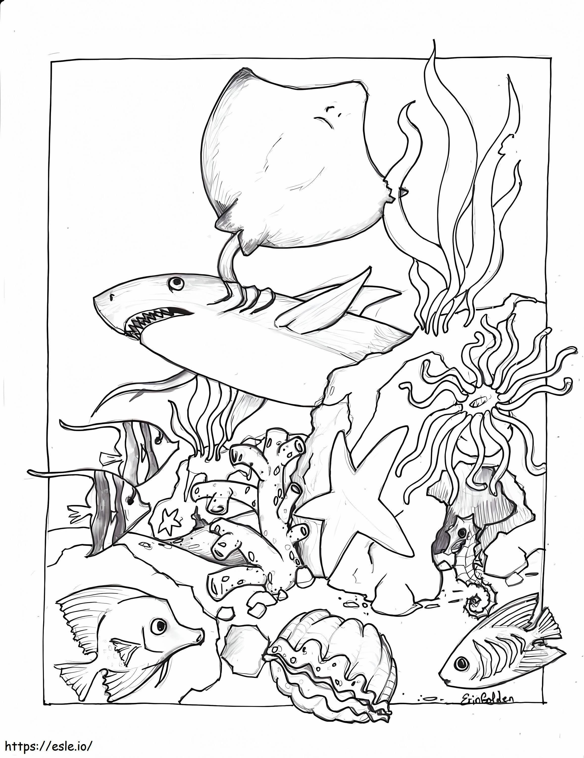 Printable Sea Animal coloring page