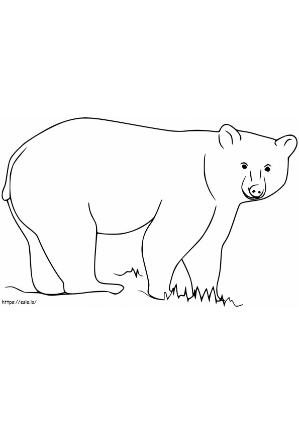Black Bear On Grass coloring page