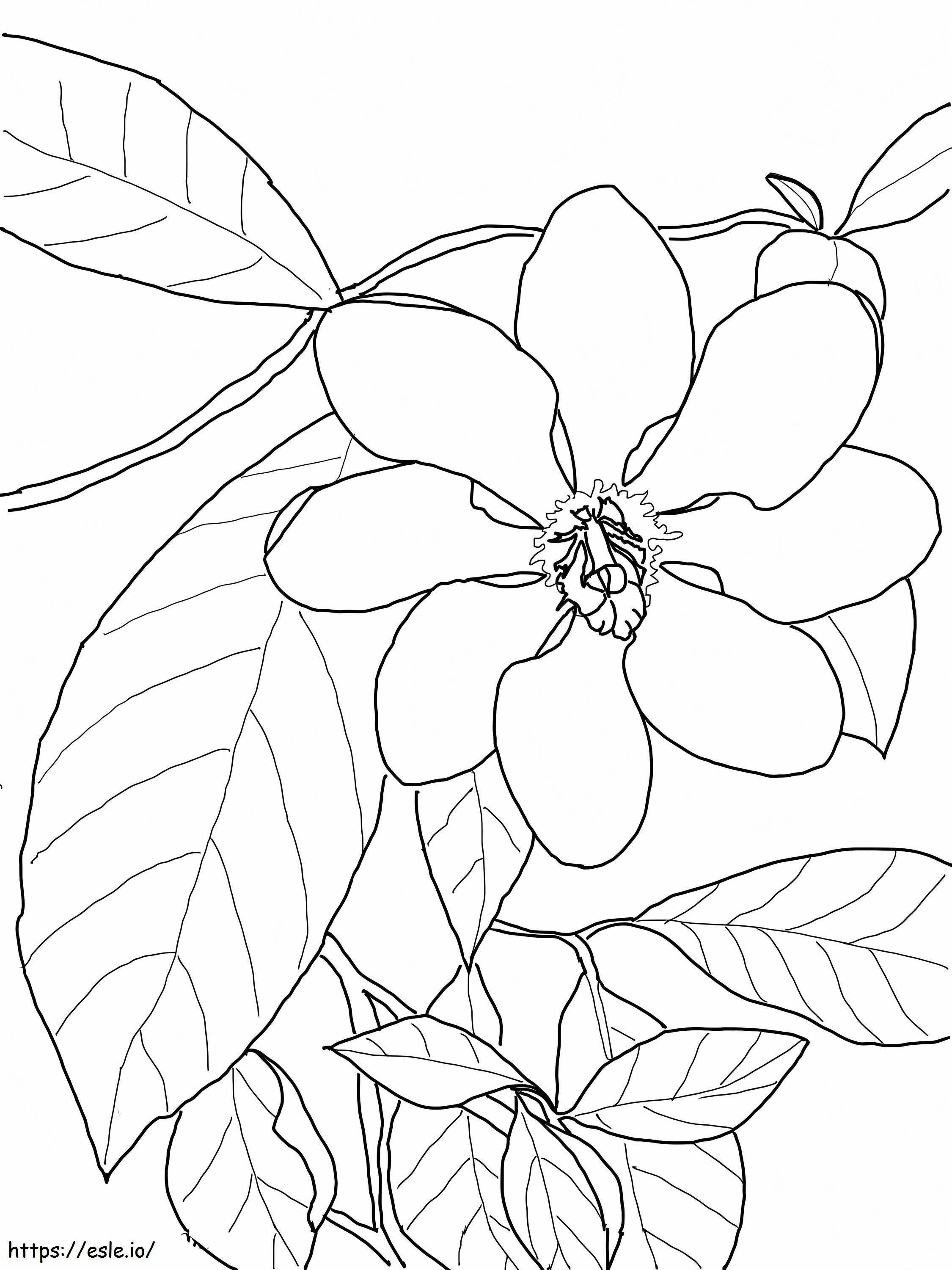 Basic Gardenia Lehdellä värityskuva