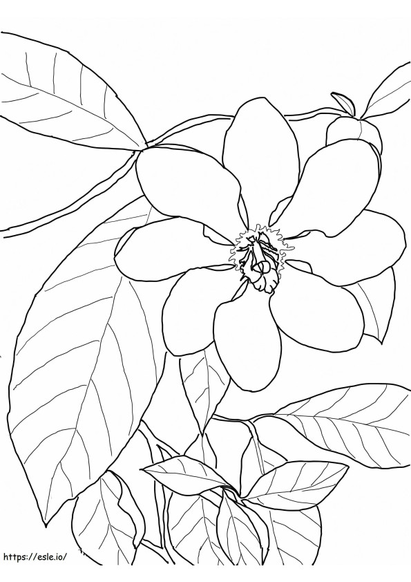 Gardenia Básica Con Hoja para colorear