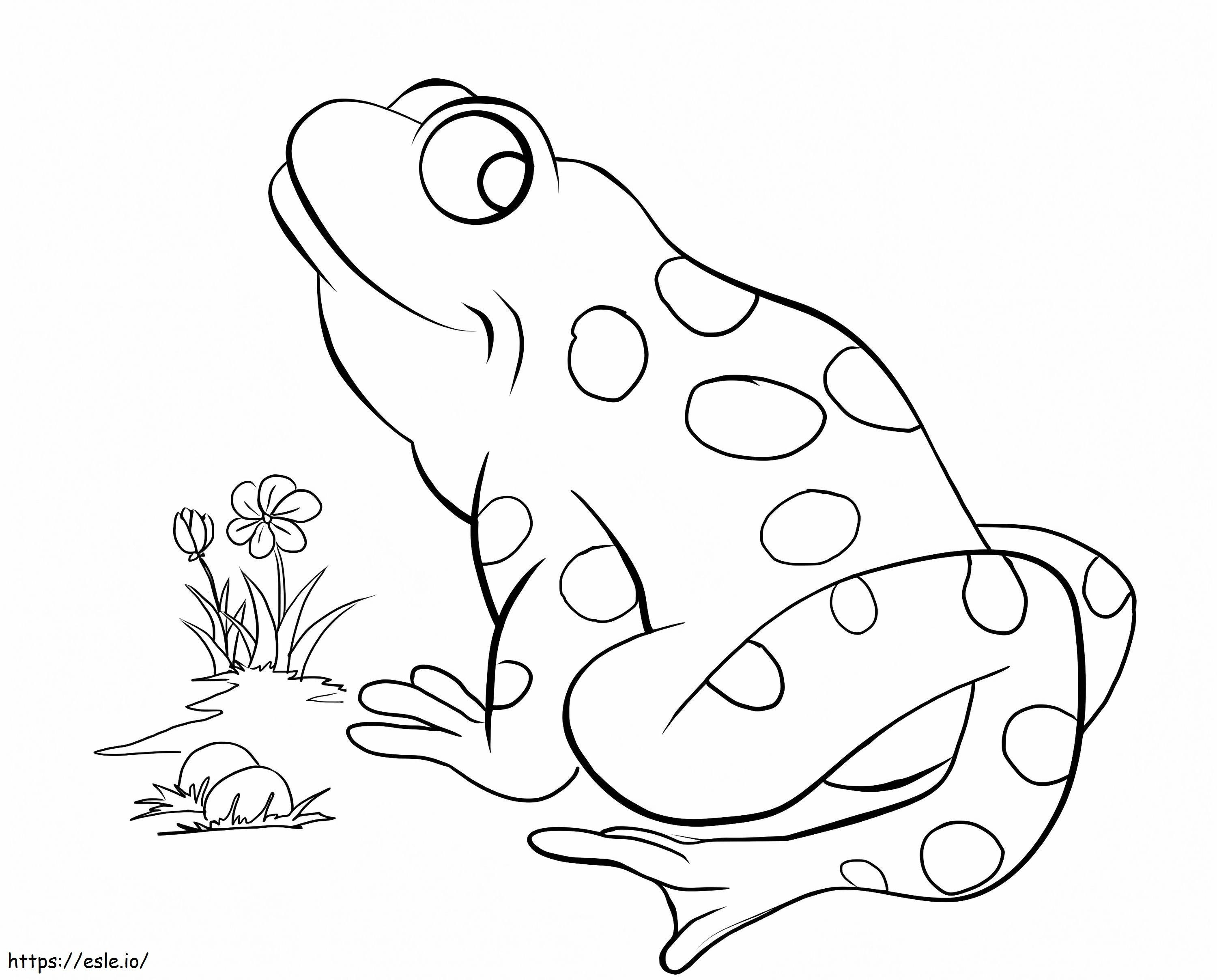 Toad And Flower coloring page