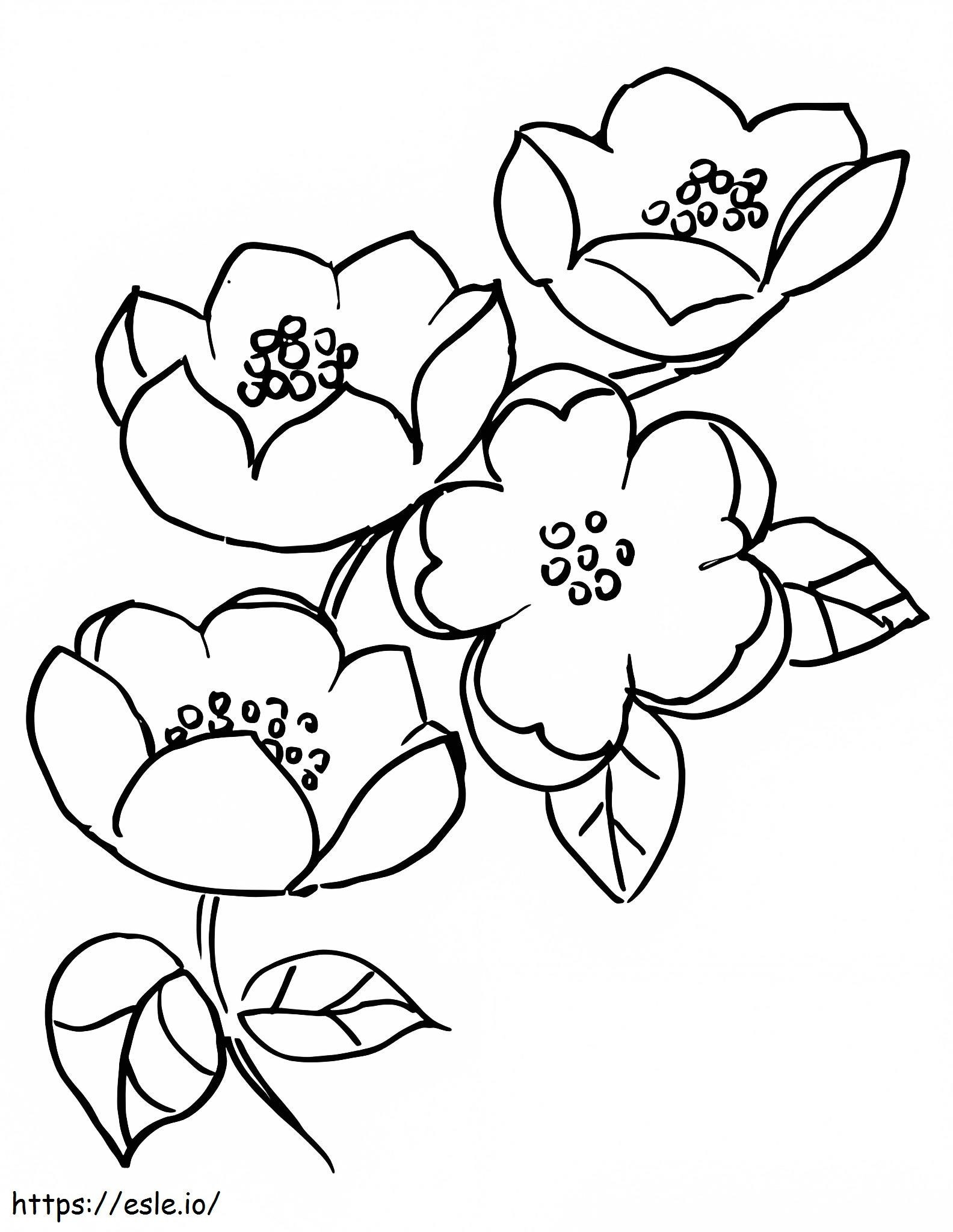 Coloriage Dessin de fleur de cerisier à imprimer dessin