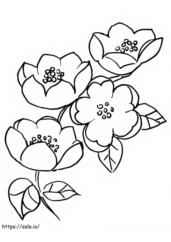 Desen în floare de cireș de colorat