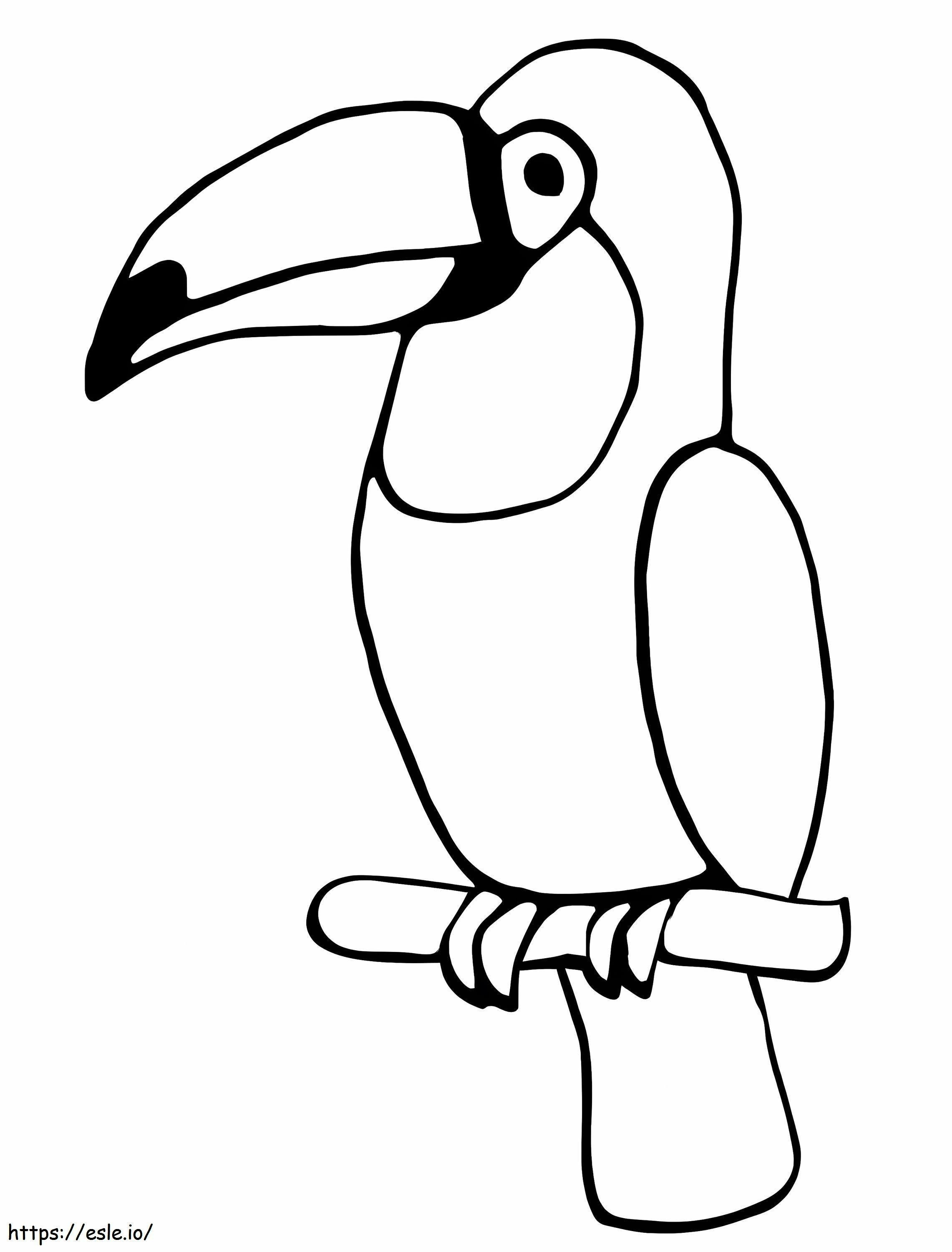 Normalny ptak tukan kolorowanka