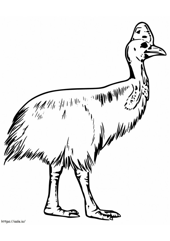 Cassowary 3 coloring page