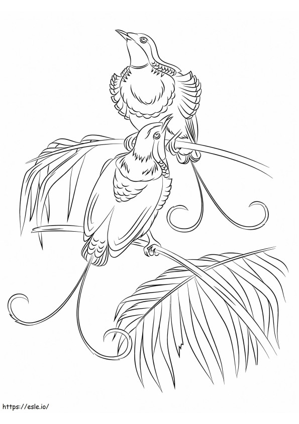 Free Bird Of Paradise coloring page
