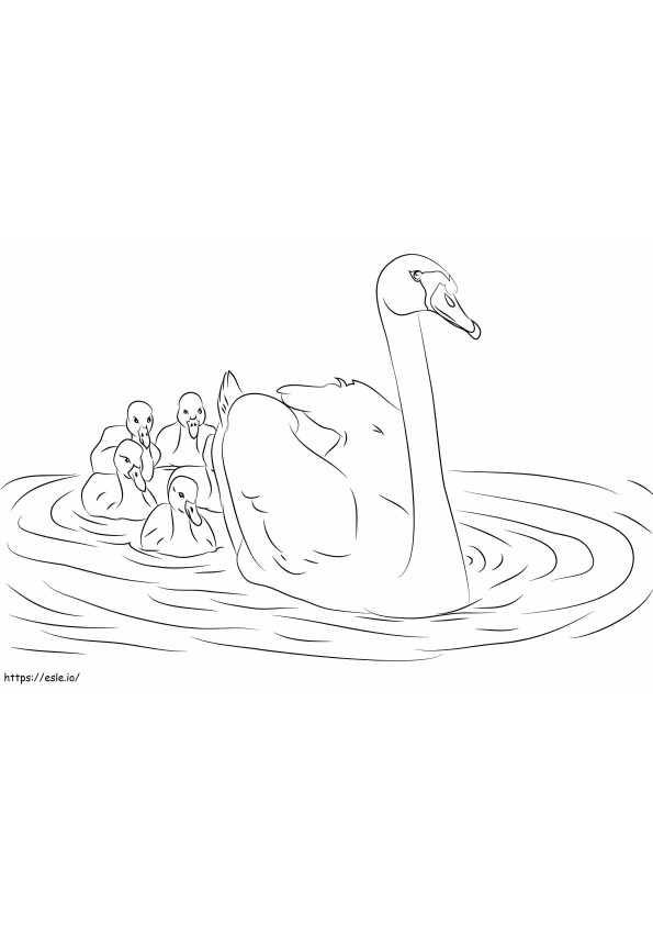 Cisne e seus filhotes