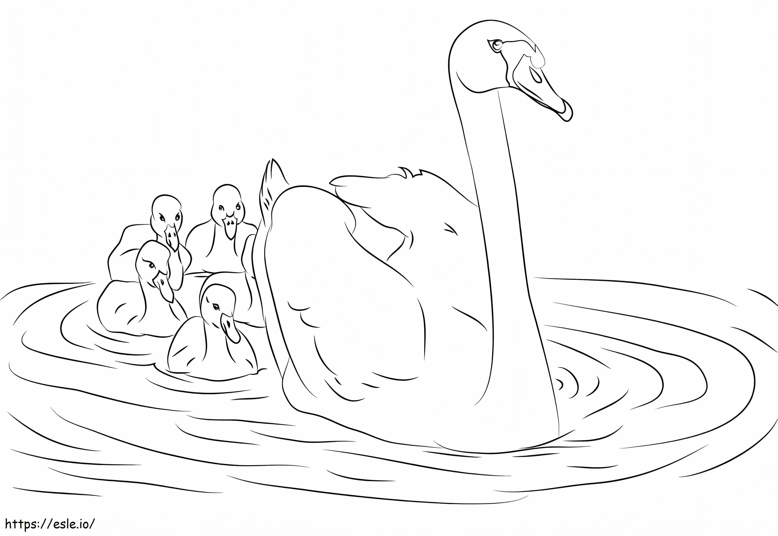 Swan And Her Chicks coloring page