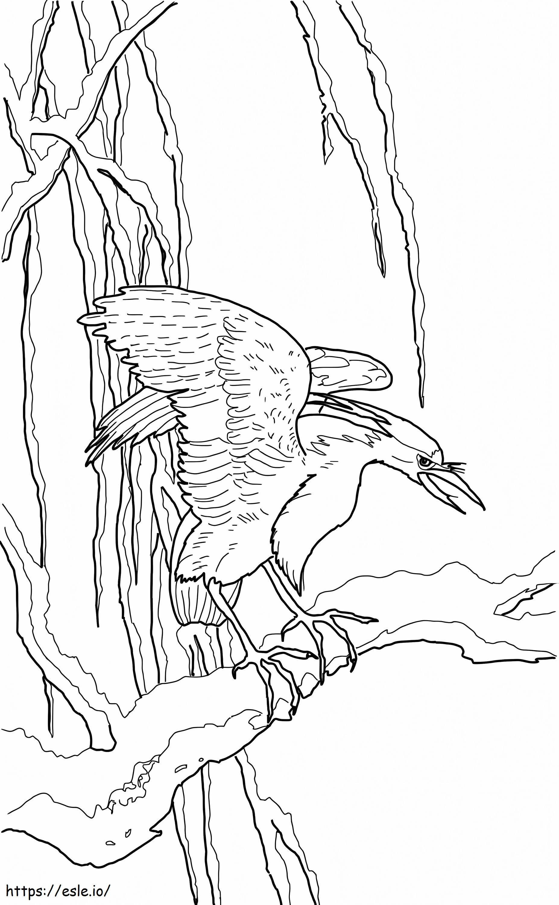 Night Heron coloring page
