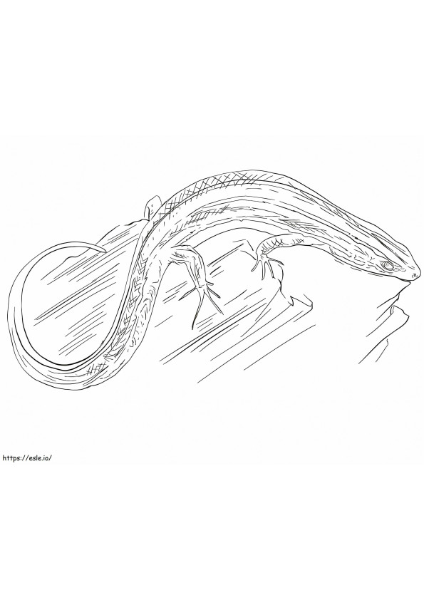 Striped Skink coloring page