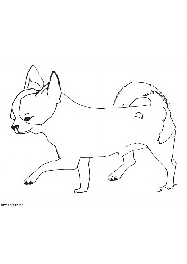 Free Printable Chihuahua coloring page