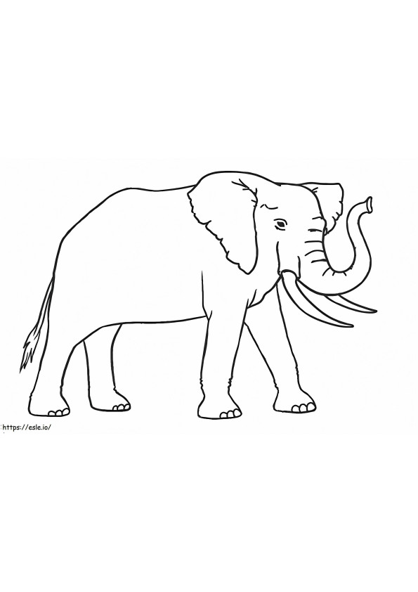 Mooie olifant kleurplaat