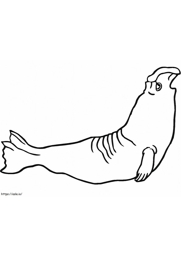 Coloriage Éléphant de mer facile à imprimer dessin