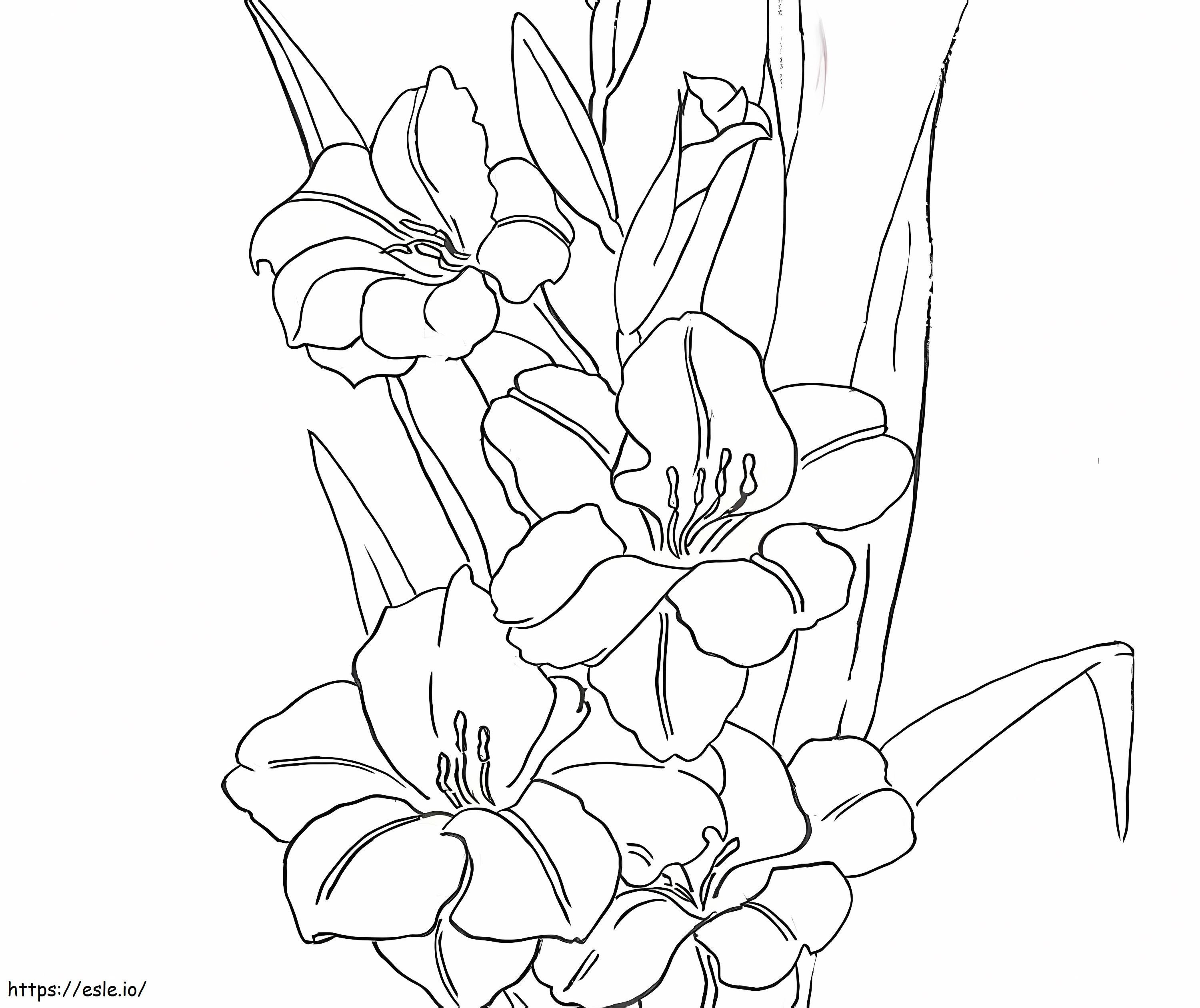 Coloriage Fleurs de glaïeul 4 à imprimer dessin