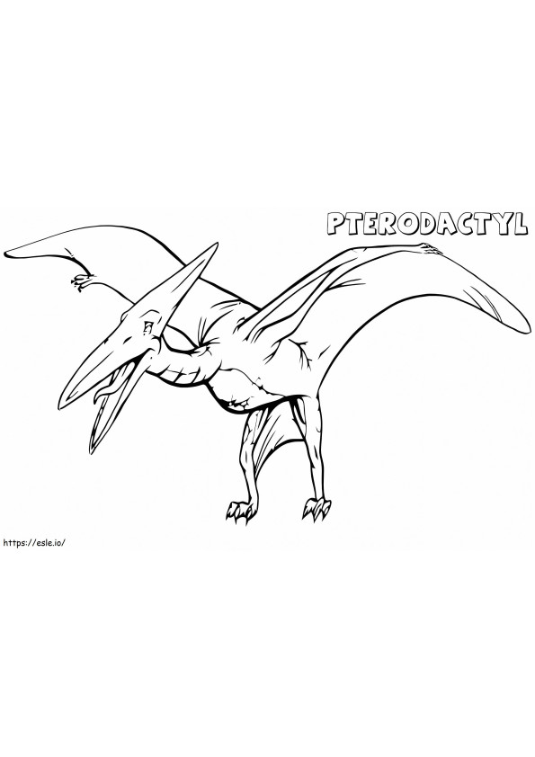 Coloriage Ptérodactyle 2 à imprimer dessin