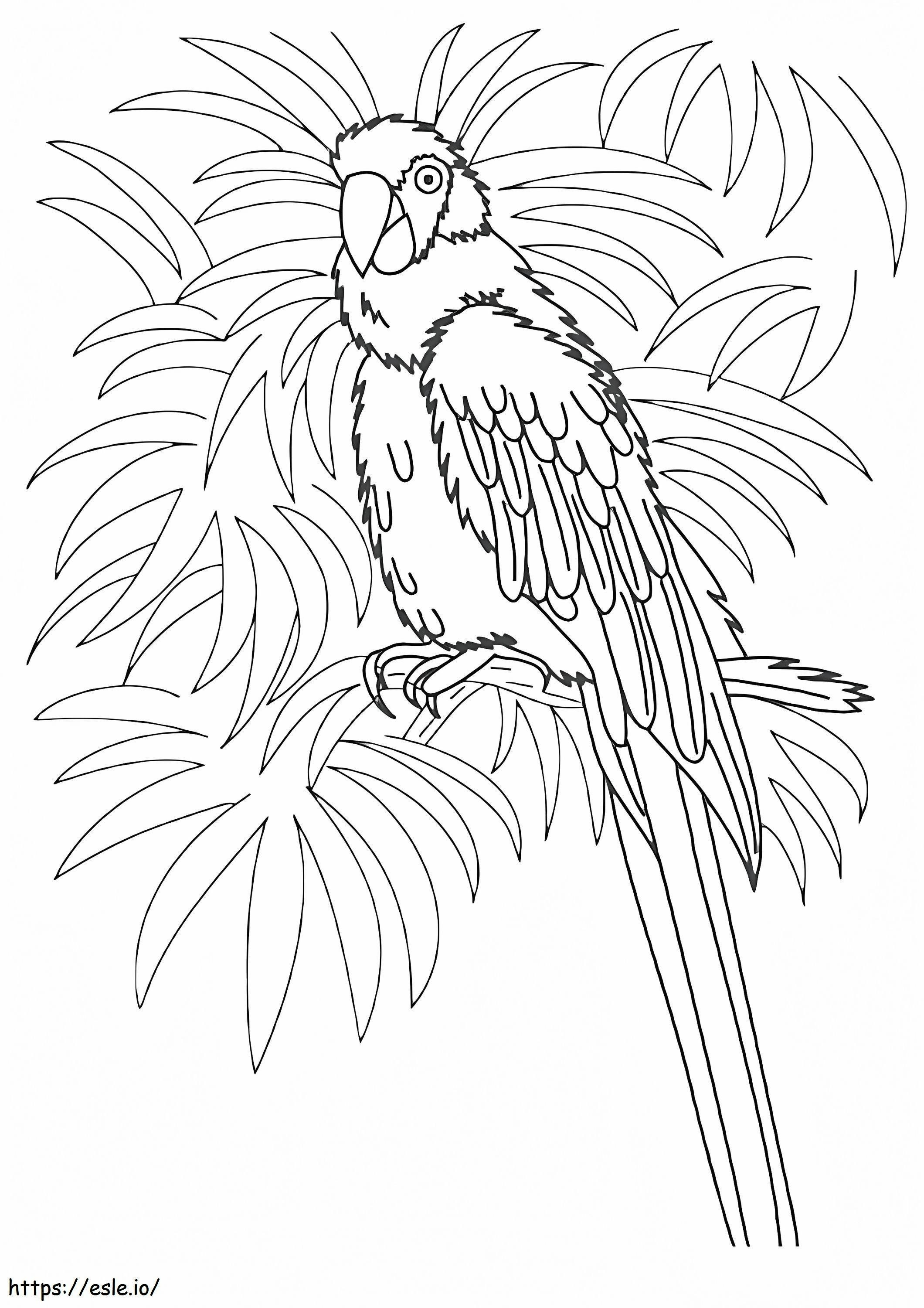 Macaw yang dapat dicetak Gambar Mewarnai