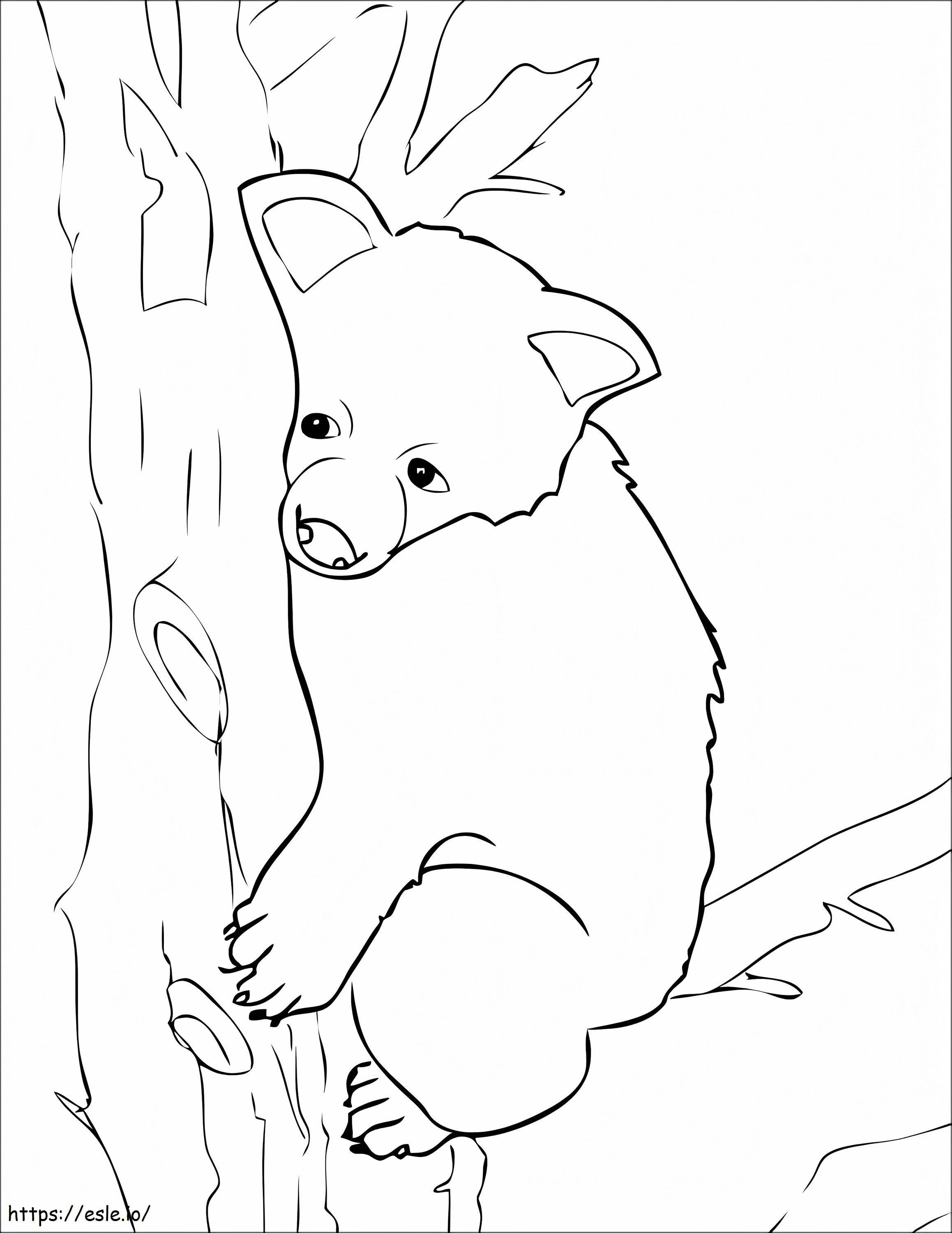 Coloriage Adorable ours brun à imprimer dessin