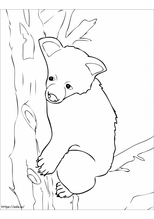 Coloriage Adorable ours brun à imprimer dessin