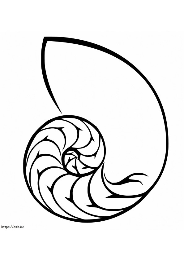 印刷可能なオウム貝の殻 ぬりえ - 塗り絵