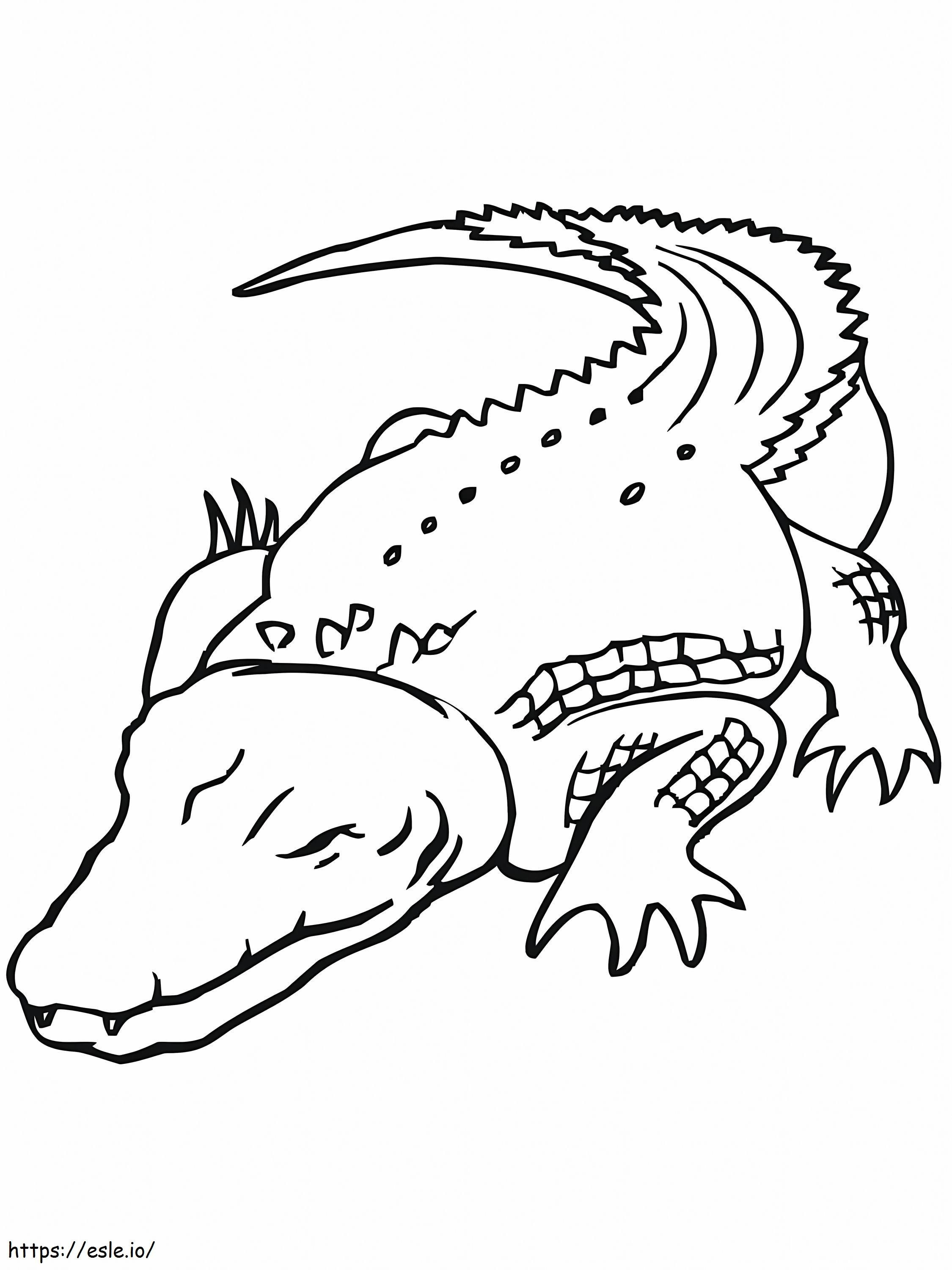 Sleeping Crocodile coloring page