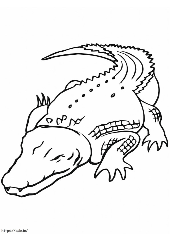 Sleeping Crocodile coloring page