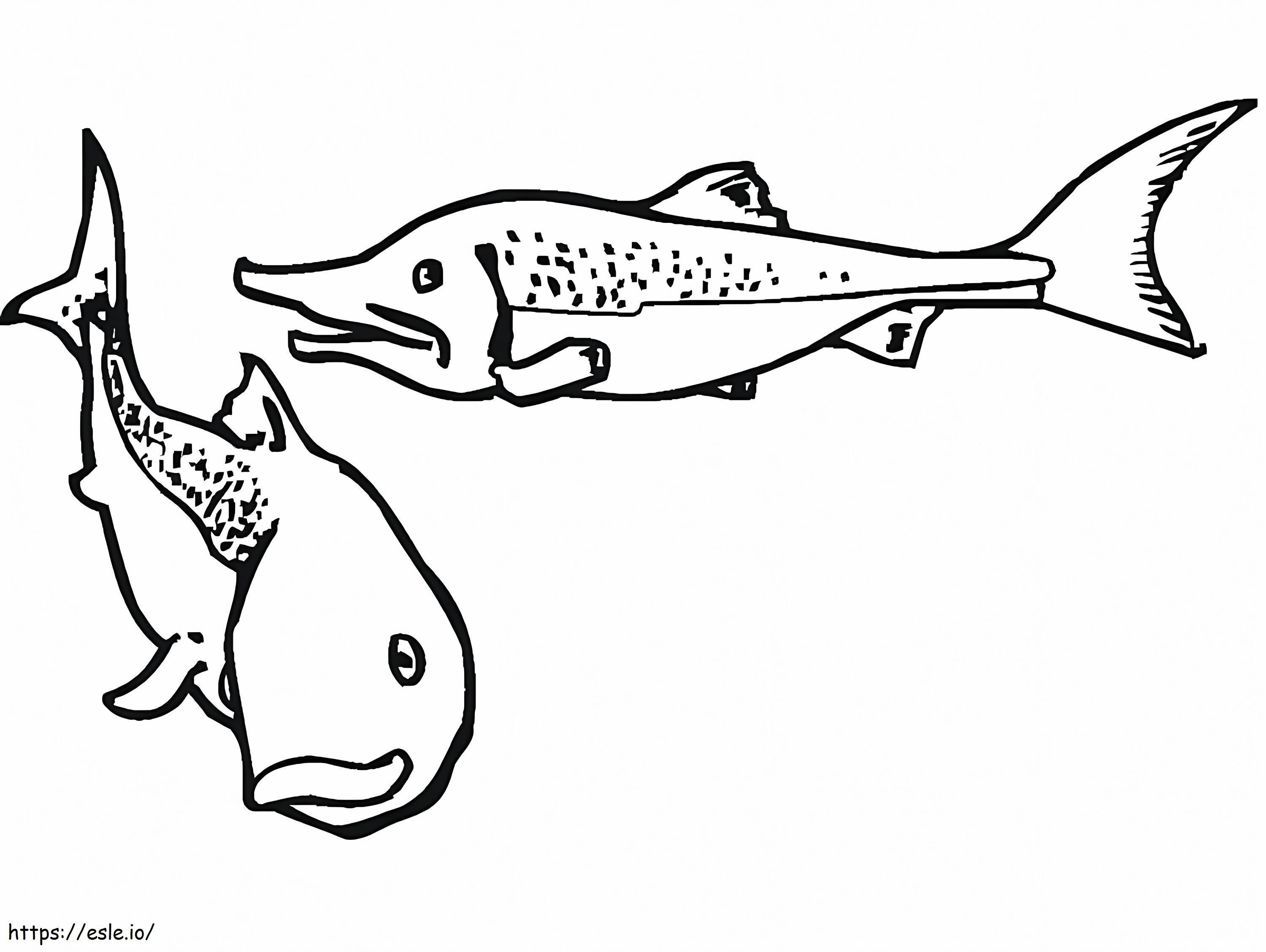 Coloriage Deux saumons à imprimer dessin