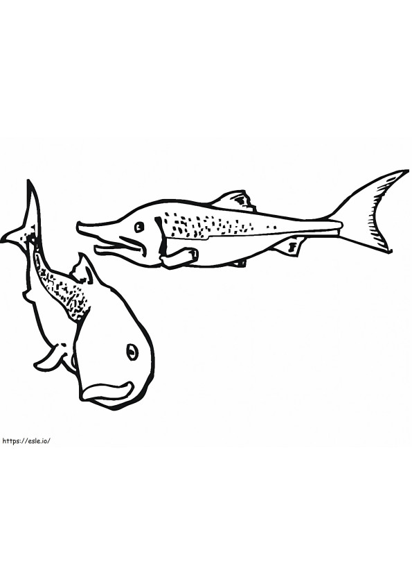 Coloriage Deux saumons à imprimer dessin