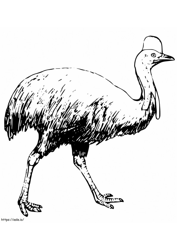 Realistic Cassowary