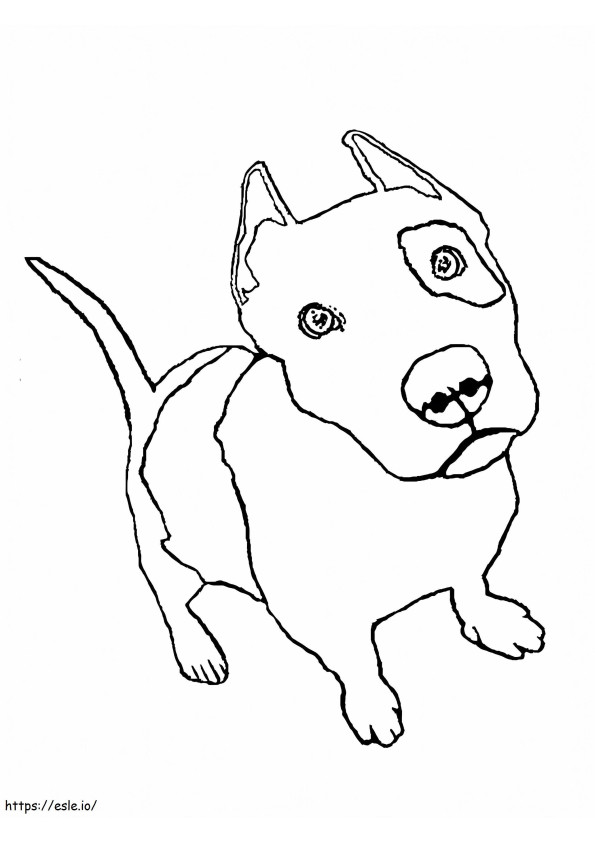 Free Pitbull coloring page