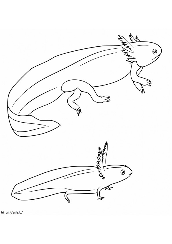 Iso ja pieni Axolotl värityskuva