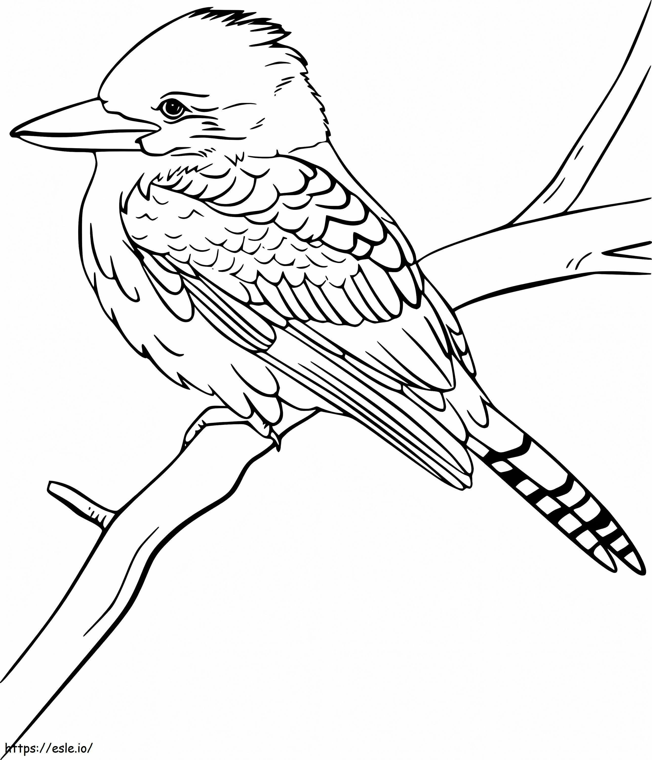 Printable Kookaburra coloring page