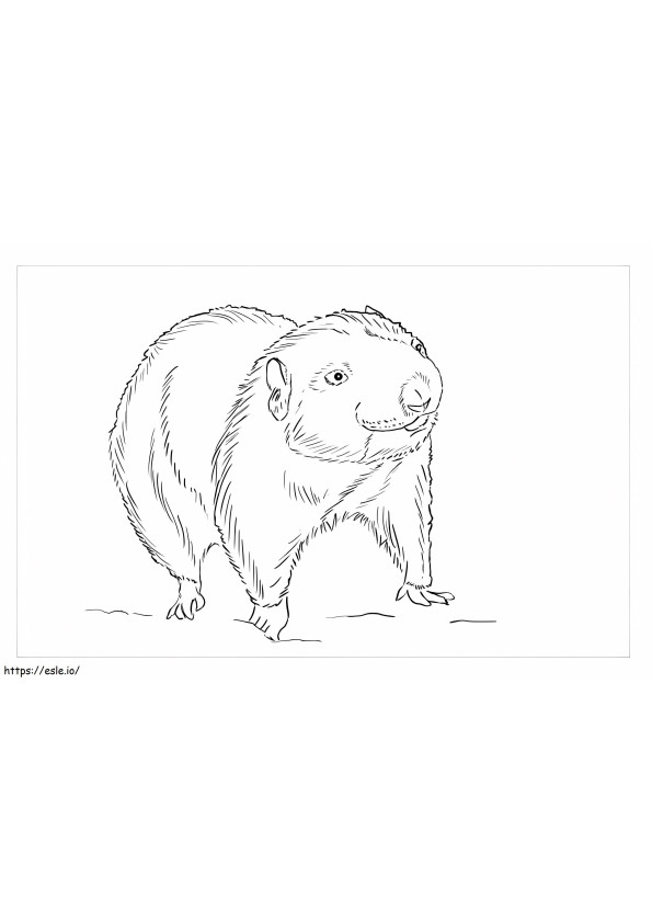Mountain Beaver coloring page
