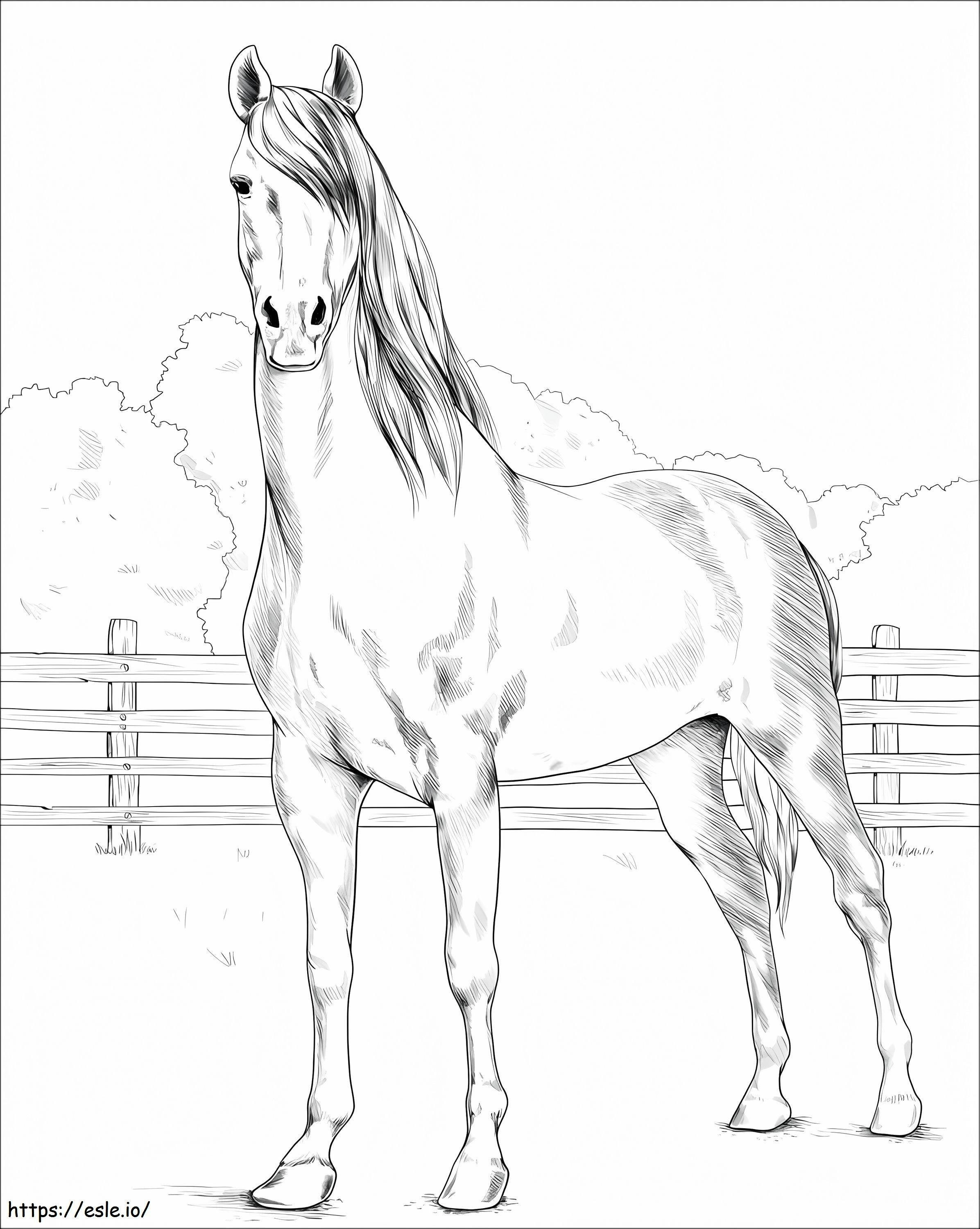 Morgan Atı boyama