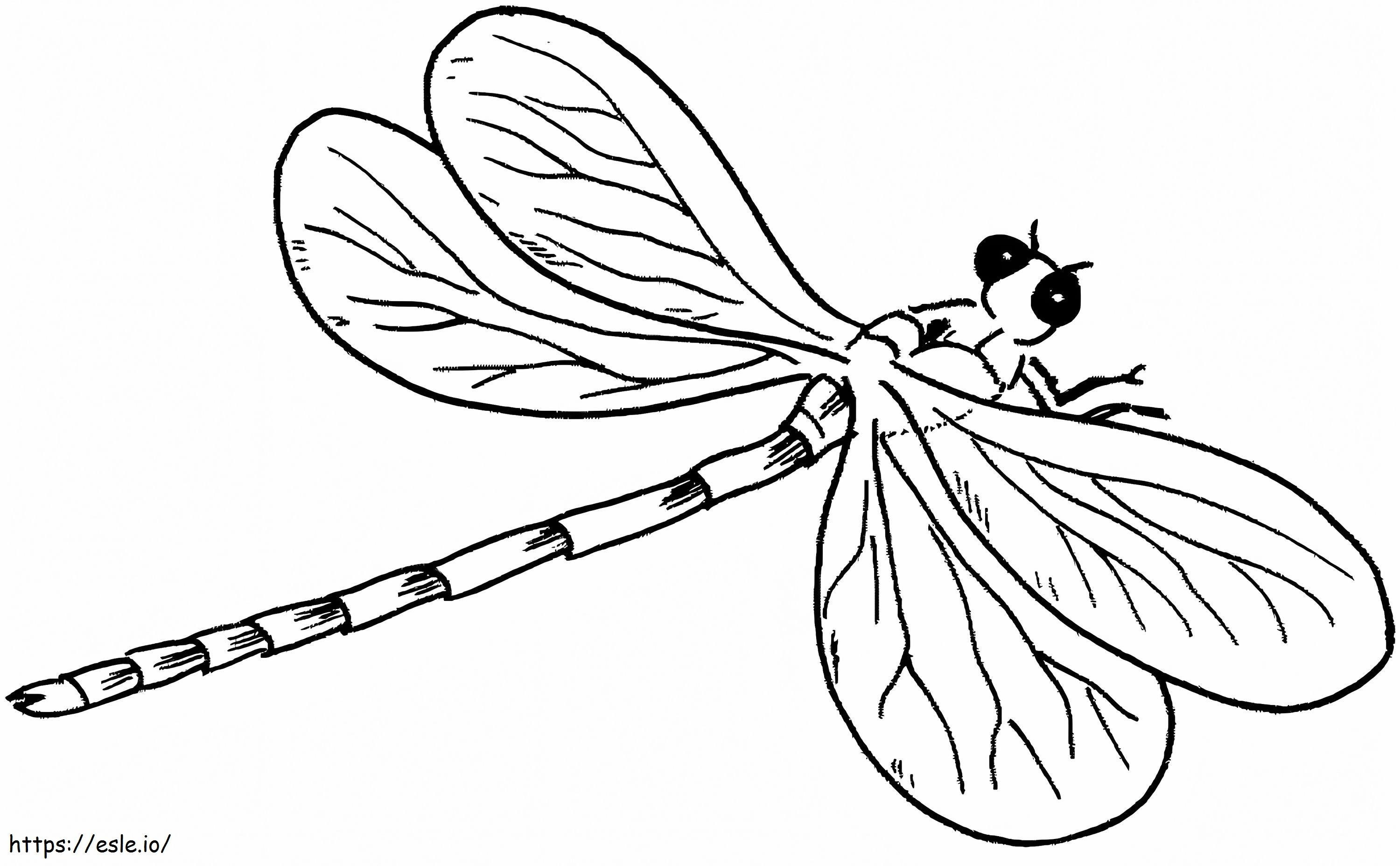 Dragonfly Printable de colorat