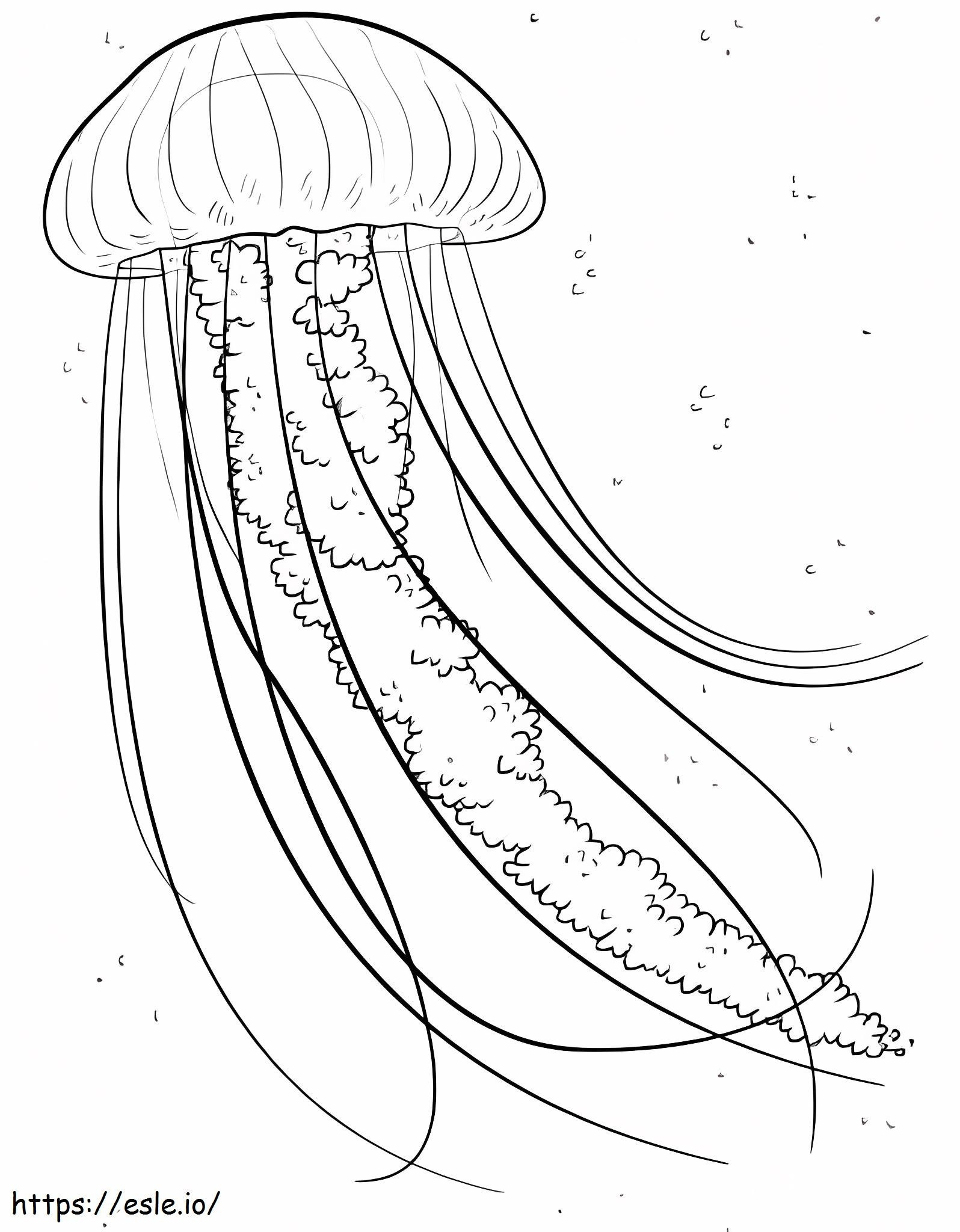 Idealna meduza kolorowanka