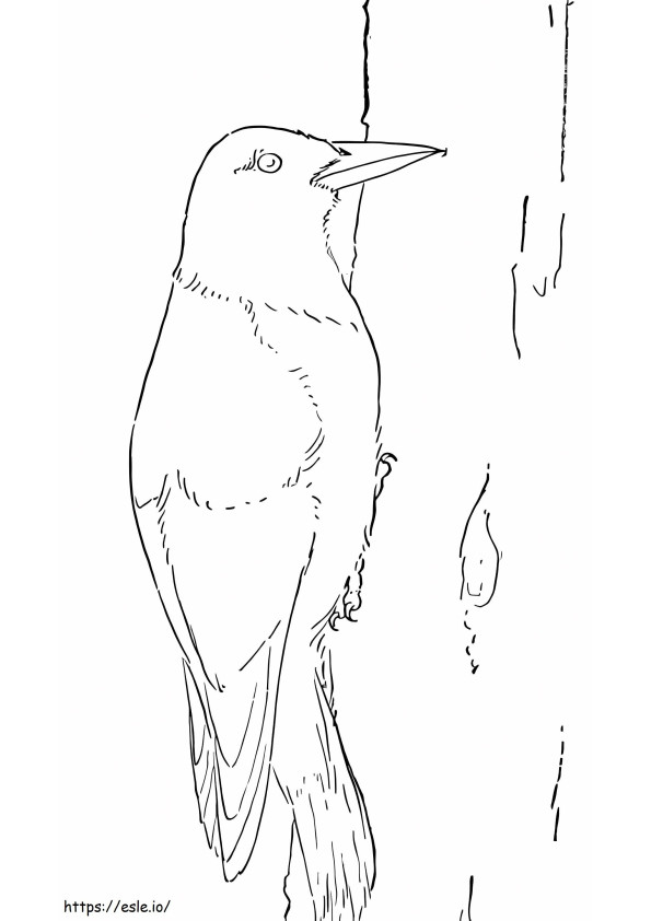 Free Printable Woodpecker coloring page