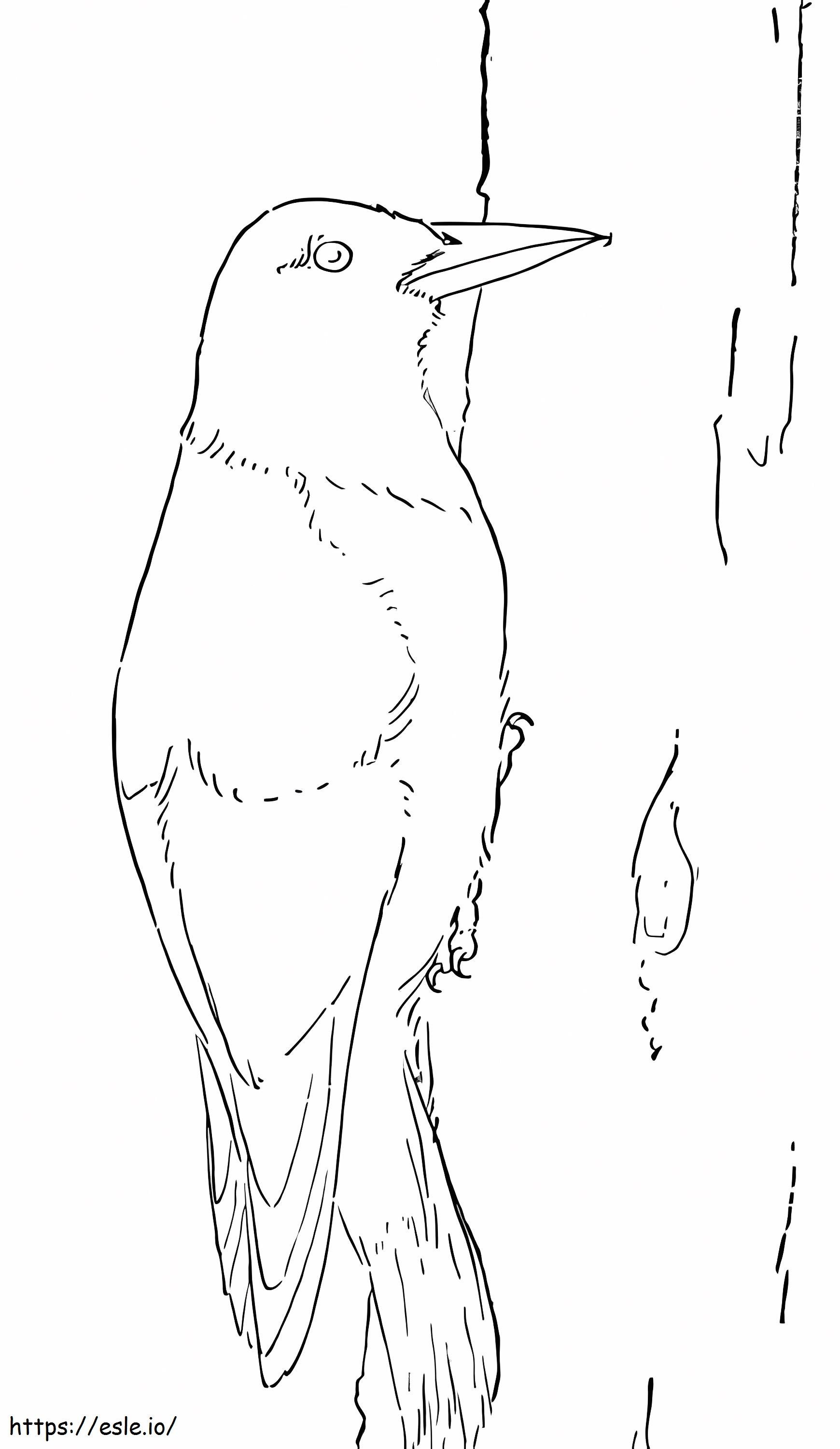 Free Printable Woodpecker Coloring Page