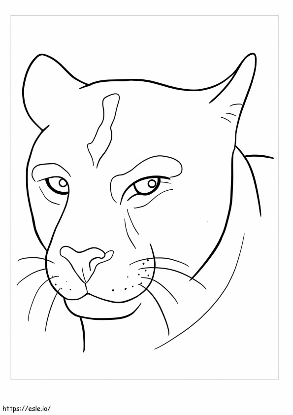 Puma-Kopf ausmalbilder