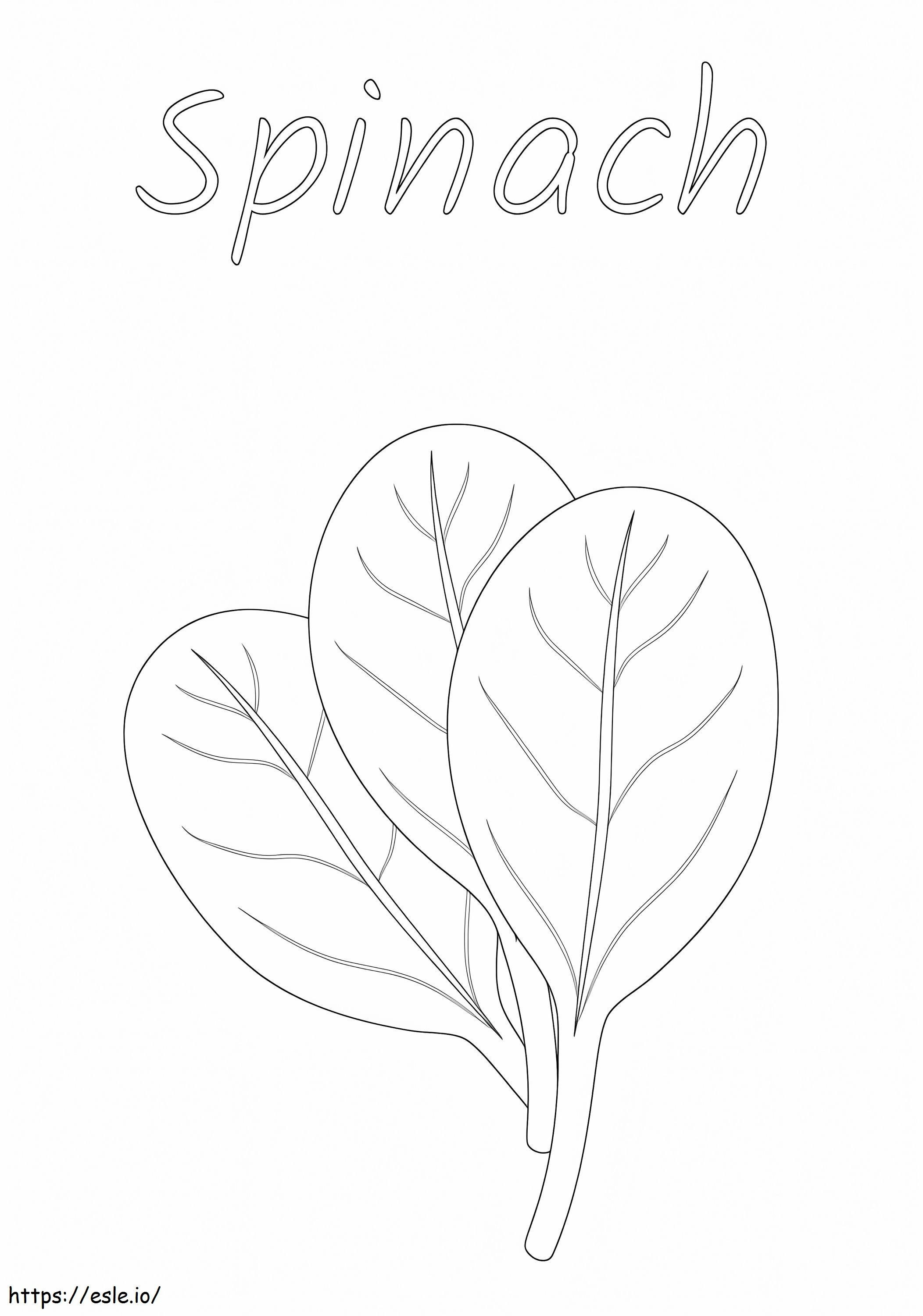 Free Printable Spinach coloring page