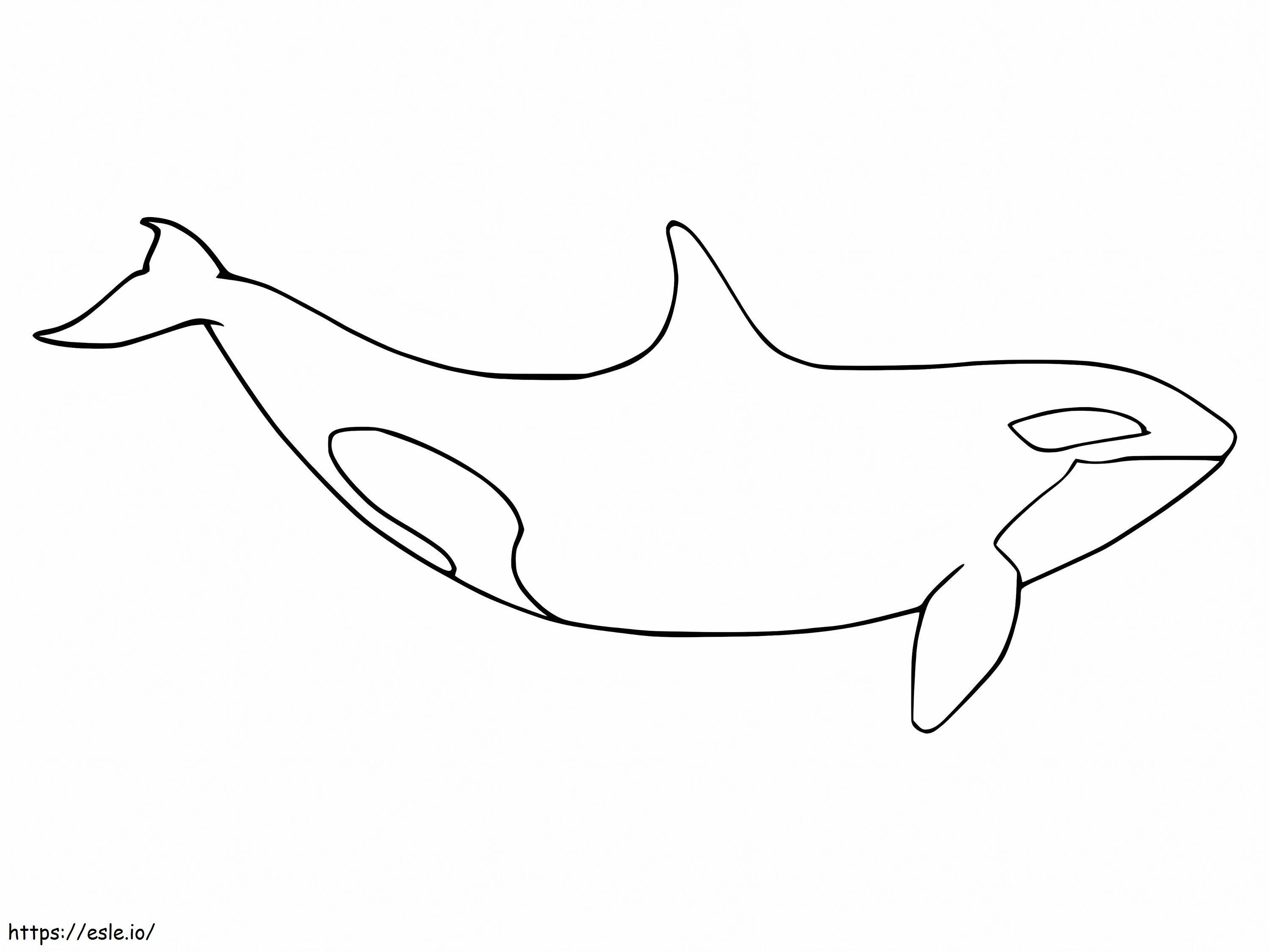 Paus Orca yang Mudah Gambar Mewarnai