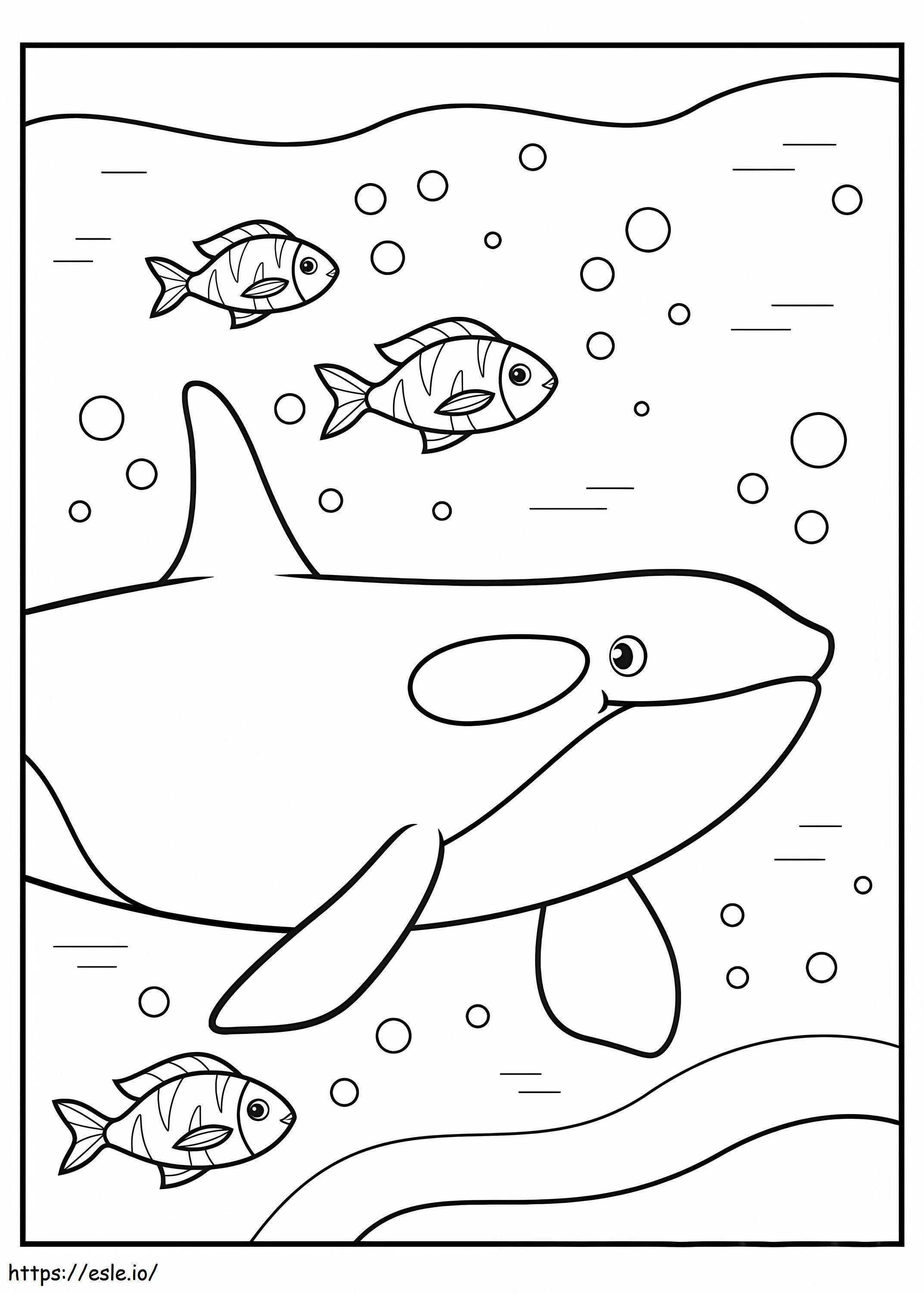 Portrait Of Whale And Fish coloring page
