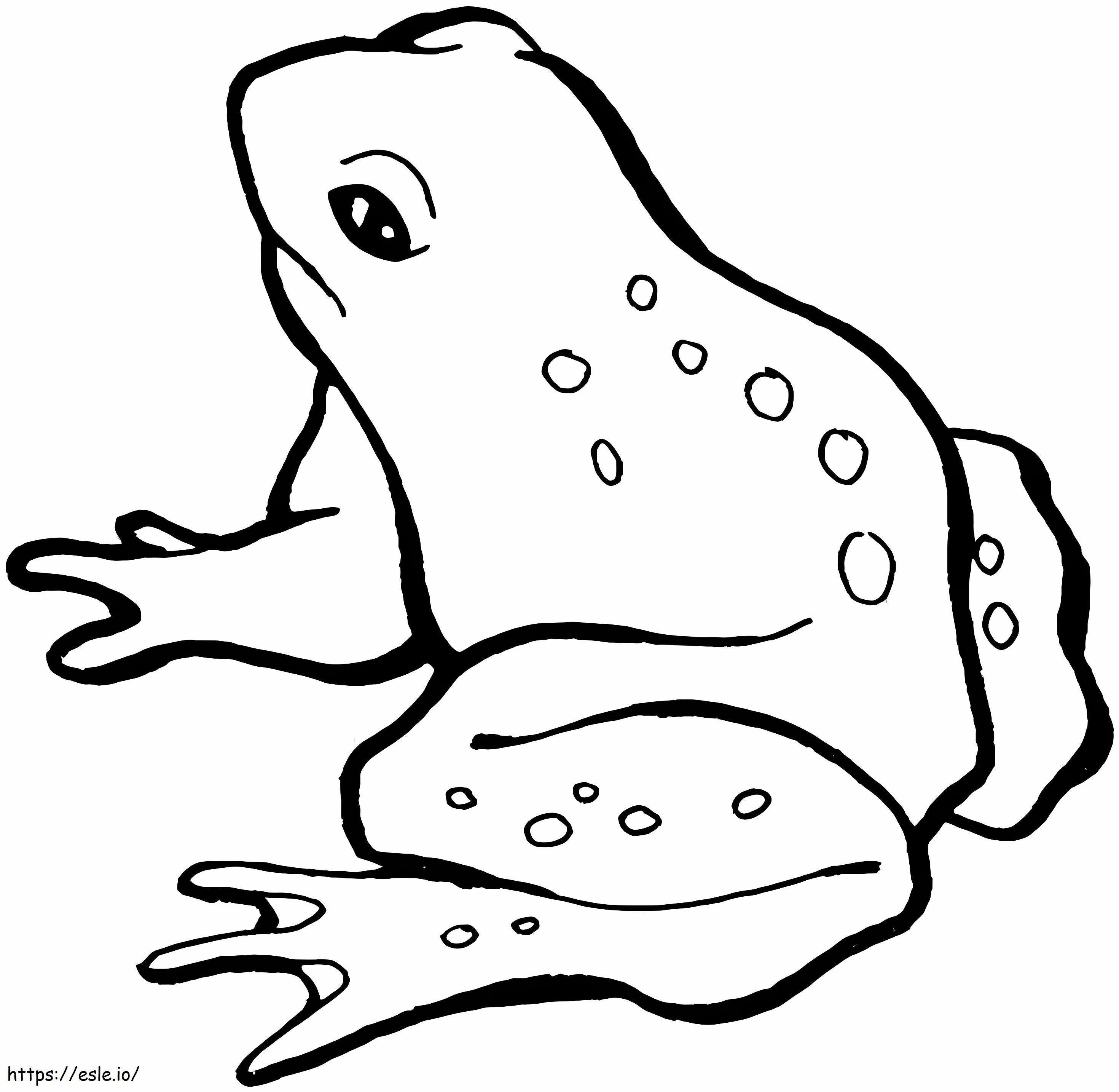 Rysunek żaby kolorowanka