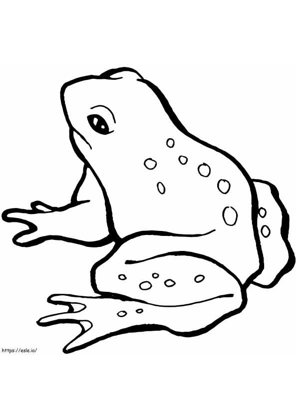 Frog Drawing coloring page