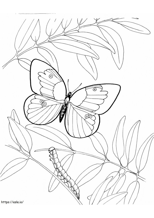 1589273872 Htrhrthrth coloring page